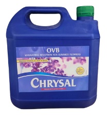 chrysalovb