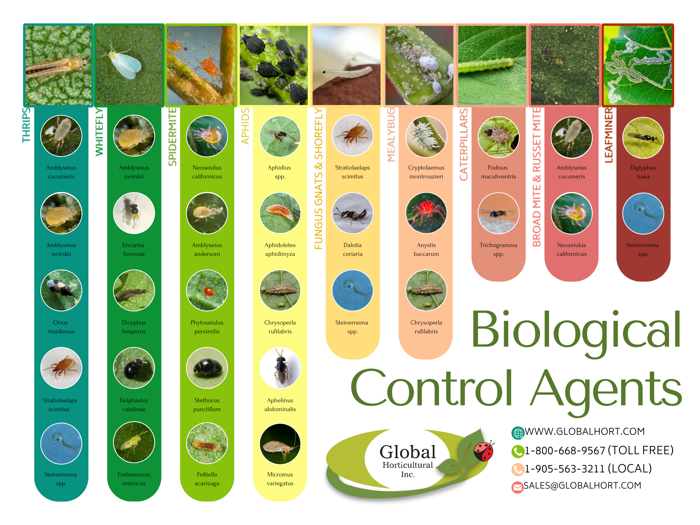 Bio Interactive Chart